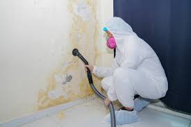 Jasper, TX Mold Remediation Company